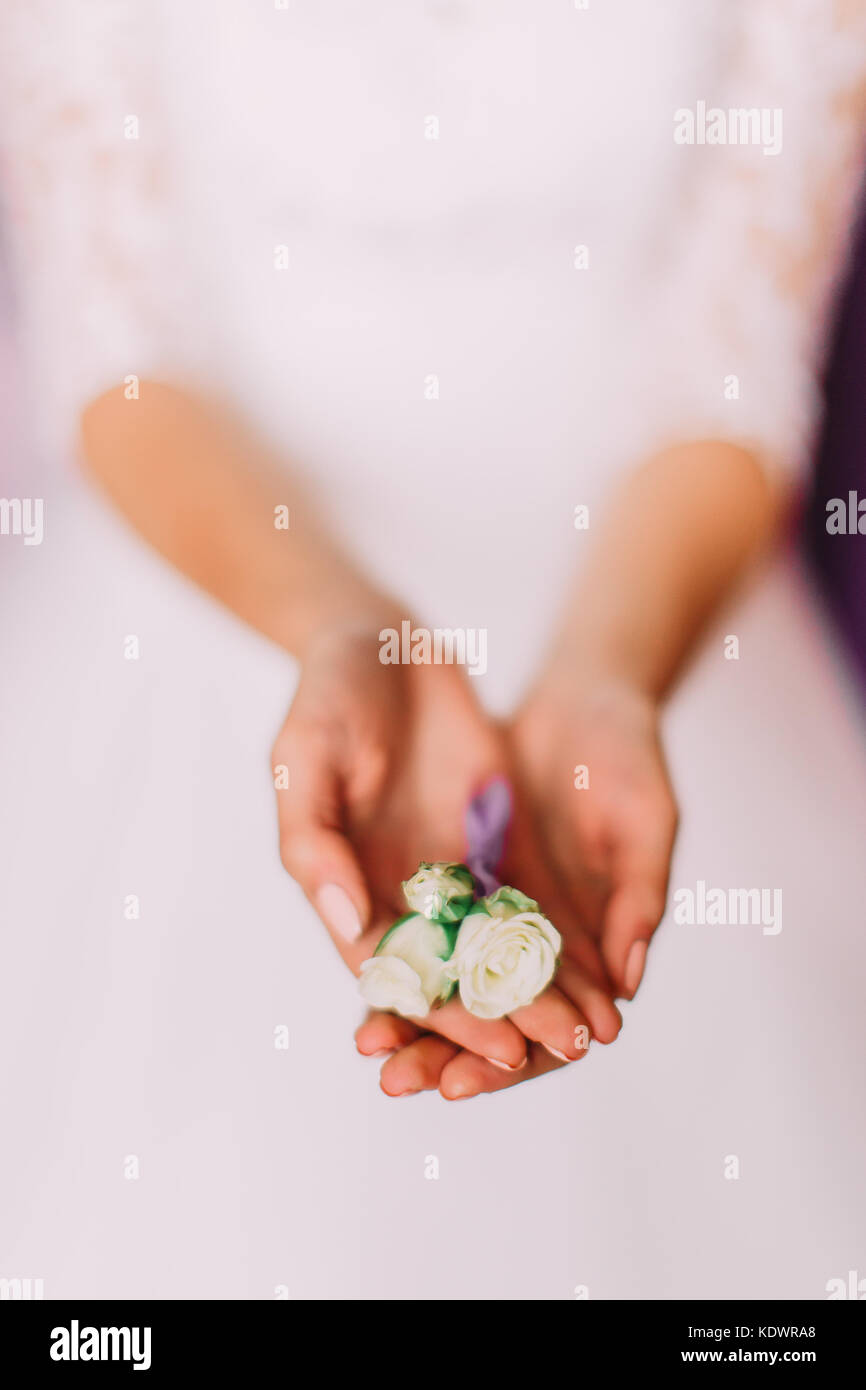 Bride`s hands are holding the little boutonniere of white roses. Stock Photo